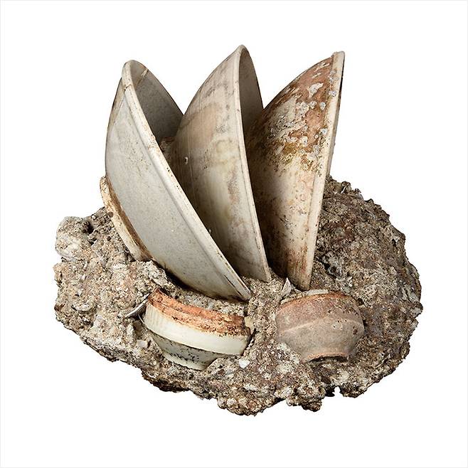 난파선에서 발굴한 10세기 중국 그릇.