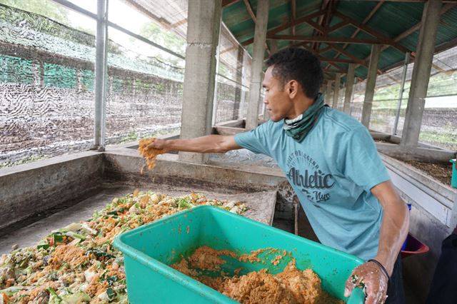 롬복 동애등에(블랙솔저플라이) 농장 직원이 음식물 쓰레기를 먹고 막 자란 작은 애벌레들을 음식물 쓰레기 분해 장치인 바이오리액터에 골고루 뿌리고 있다.
