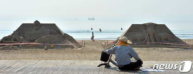 25일 오전 경북 포항시 북구 영일대해수욕장 백사장에 대형 코끼리와 킹콩, 사자, 기린 등 동물 모래조각이 모습을 드러냈다.  2019.6.25/뉴스1 © News1 최창호 기자