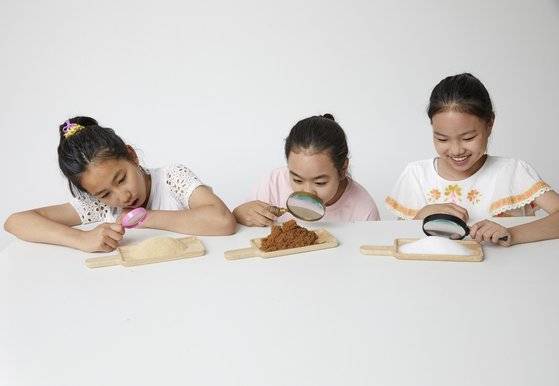 홍지수·김은비·박채원(왼쪽부터) 학생기자가 다양한 종류의 설탕을 살펴봤다.