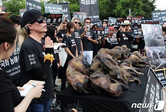 할리우드 배우 겸 동물권 운동가 킴 베이싱어가 초복인 12일 서울 여의도 국회 앞에서 열린 2019 복날추모행동에서 개 도살 금지를 호소하고 있다. 동물권 단체 동물해방물결이 주최한 이날 행사 참가자들은 동물 임의도살 금지법의 조속한 국회 통과를 촉구하며 개 도살을 방치하고 있는 정부에 전향적인 대책을 촉구했다. 2019.7.12/뉴스1 © News1 오대일 기자