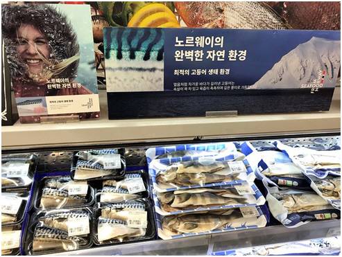 국내 마트에서 유통되는 노르웨이산 고등어.