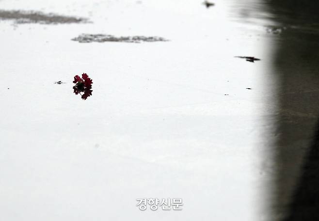 물 위에 떨어진 꽃잎. /강윤중 기자