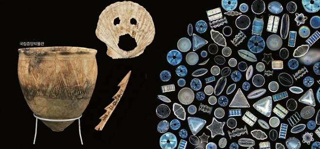 패총에서는 어류는 물론 유물도 발견된다. 부산 동삼동 패총 유적에서는 조개로 만든 얼굴, 낚시 바늘, 덧무늬 토기 등 다채로운 유물이 확인되었다. 국립중앙박물관 제공