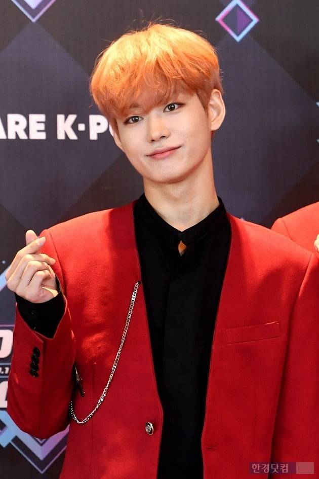 이세진 / 최혁 기자