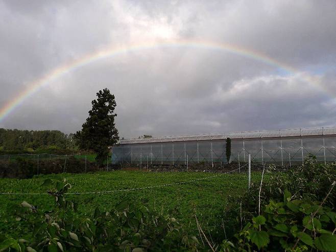 24일 제주도 서귀포시 모슬포항으로 가는 길에 무지개가 떠있다.[사진 최진호]