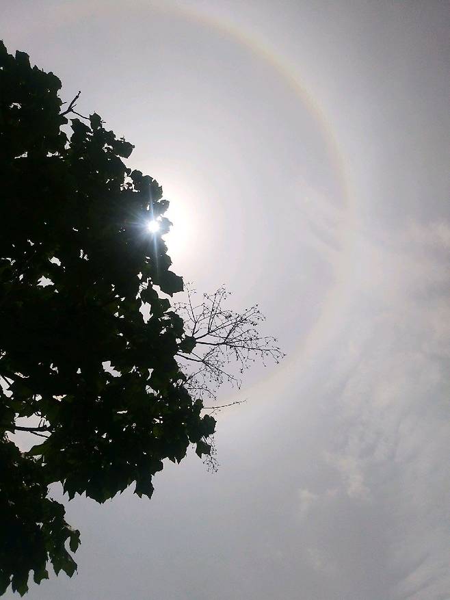 24일 제주시 삼도동 하늘에 나타난 햇무리. [김맹후씨=연합뉴스]