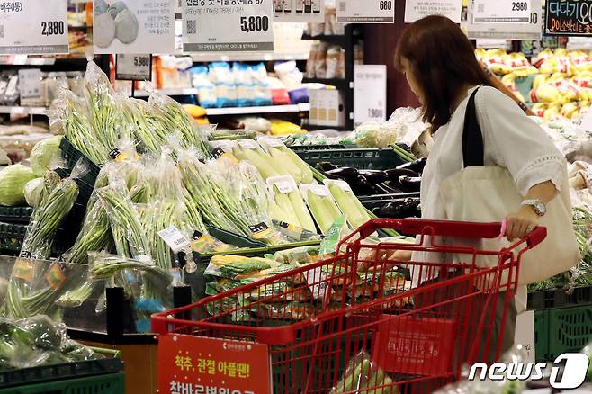 서울의 한 대형마트 채소 판매 매장.2019.6.4/뉴스1 © News1 이광호 기자