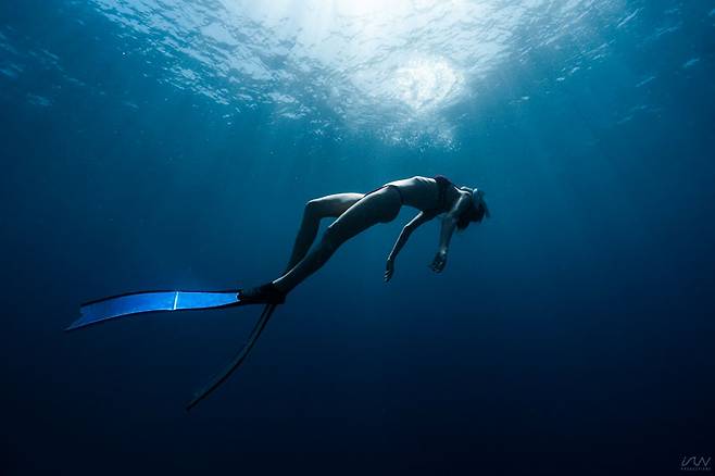 필리핀 아포섬 Ⓟ김성수