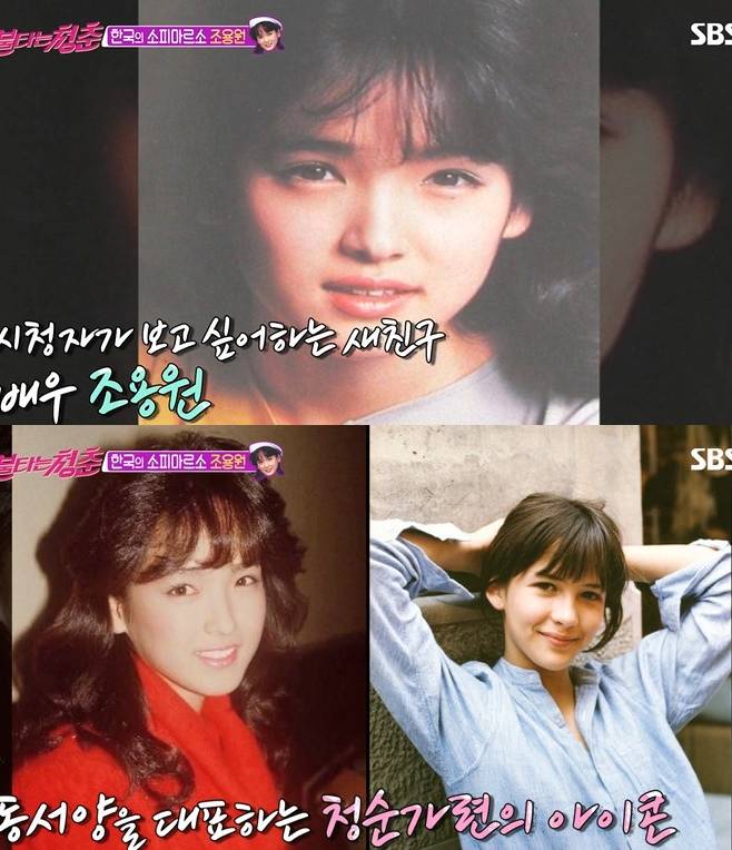 불타는 청춘 조용원