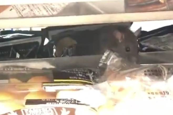 /사진=트위터 캡쳐