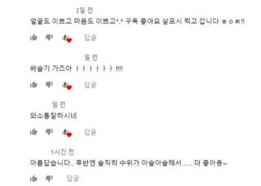 사진=유튜브 댓글 화면 캡처