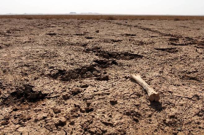 사막화가 빠르게 진행 중인 몽골 고비 사막. 아이들에게 어떤 지구를 남겨줄 것인지, 우리에게 달렸다./사진=머니투데이db