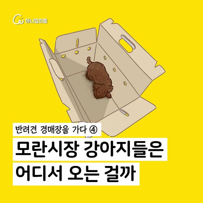 애니멀피플