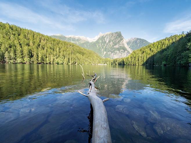 여름에 수영하기 좋을 만큼 수온이 오르는 피버그 호수