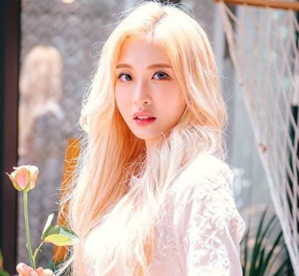 양팡 / 사진=양팡 SNS