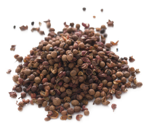 마라의 핵심 향신료인 초피. 초피 속 산쇼올이 얼얼한 맛을 내는 주성분이다.