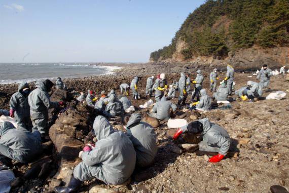 한국도로공사 사회봉사단과 재한 몽골유학생 들이 2008년 1월 특별재난지역으로 선포된 충남 태안 의항해수욕장에서 기름제거 작업을 하고 있다. /사진=fnDB