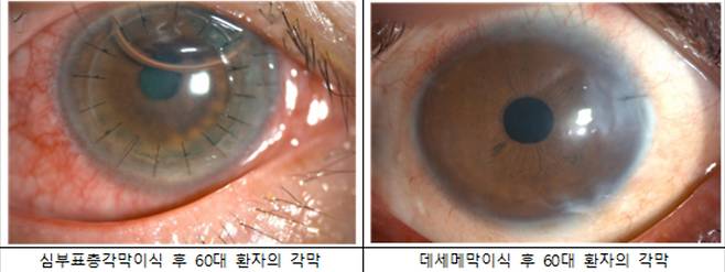 여의도성모병원 제공