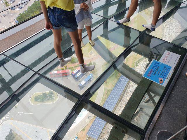 75m 높이의 시화호조력발전소 달전망대에는 아래가 보이는 유리데크 코스가 있다. 아래쪽에 버스가 보이는 가운데 아이들이 신기해 하며 걷고 있다.