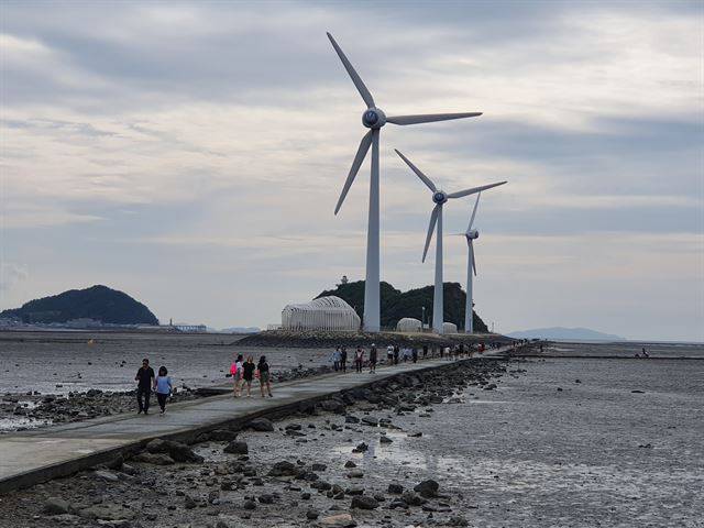 안산시티투어 마지막 코스인 탄도항 바닷길. 물이 빠지면 30~40분 정도면 전망대를 관람할 수 있다고 한다. 3기의 풍력발전소는 갯벌에 세워진 국내 최초다.