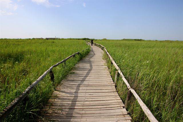 다리눠얼 호수로 가는 습지 산책로.