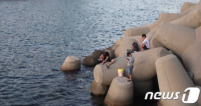 16일 오후 부산 수영구 민락수변로 부근 테트라포드 위에서 낚시객들이 낚시를 하고 있다.2019.09.16/© 뉴스1 박세진 기자