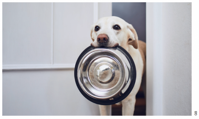 게티이미지뱅크 제공