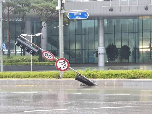 부러진 신호등 [차근호 기자]