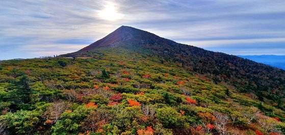 설악산 단풍이 본격적으로 시작된 가운데 27일 대청봉 일대가 단풍으로 물들고 있다. [설악산 국립공원관리공단 ]