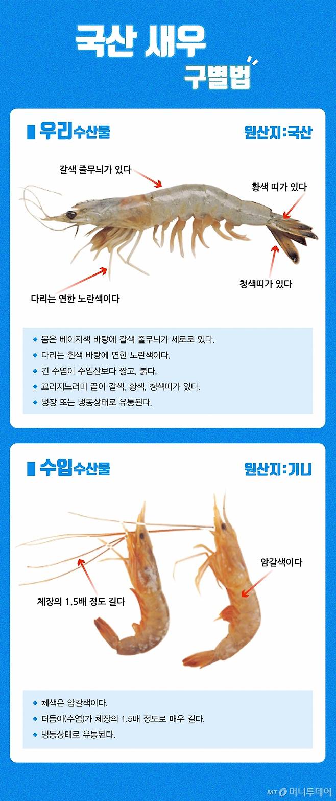 국산새우 구별법/사진=유연수디자이너