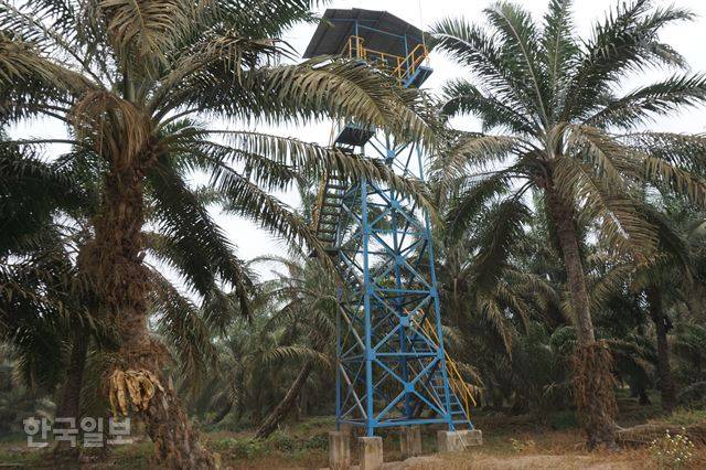 수마트라섬 잠비주의 한 대형 팜오일 농장에 설치된 15m 높이의 화재감시 탑.