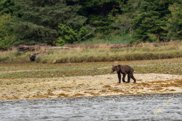 사진=롤프 하이커
