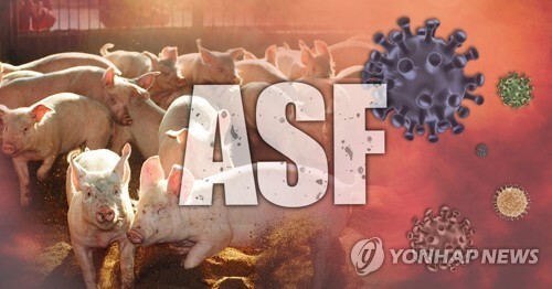 "수입 돈육포서 ASF바이러스 유전자 검출…생존여부 검사중" (PG) [권도윤 제작] 사진합성·일러스트