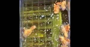 ‘치킨 튀기는 영상 ASMR’로 화제가 된 깐부치킨  서울역한라비발디점 SNS.