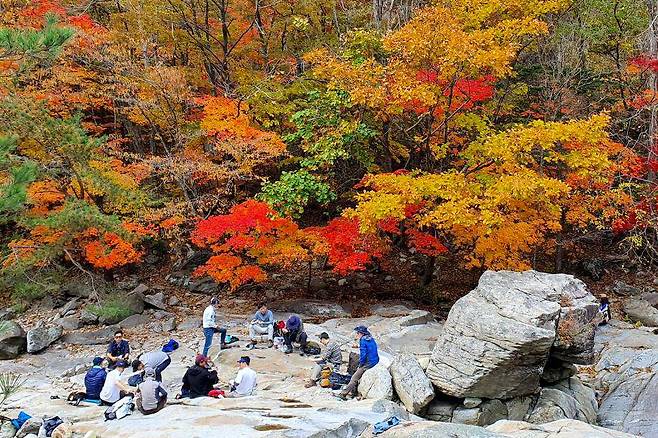 전국이 화창한 가을날씨를 보인 20일 강원도 평창군 오대산국립공원 내 선재길을 찾은 탐방객들이 울긋불긋 물든 단풍을 감상하며 걷고 있다. [뉴스1]