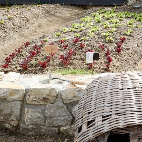 지난 7월부터 가꾸기 시작한 텃밭. 이곳에서 자라는 식재료는 두수고방 상에 올라가게 된다. 우상조 기자