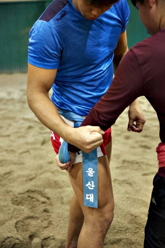 노 선수가 승민 학생게게 상대 선수 샅바 잡는 법을 가르쳤다.