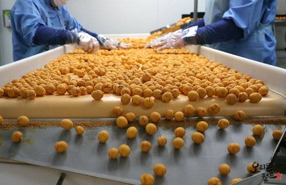 공장에서 생산된 오징어땅콩. 볼 형태의 이 과자는 출시때부터 인기를 끌었다. [사진 오리온]