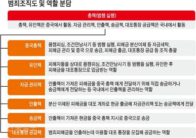 범죄조직도 및 역할 분담. 그래픽=강준구 기자