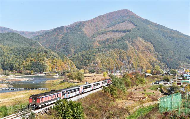 정선아리랑 관광열차가 아우라지역으로 진입하고 있다. 역을 기점으로 오른편에 마을에 형성돼 있고, 왼편이 아우라지다.