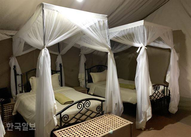 침대에 예외 없이 하얀 커튼이 달려 있다. 장식물이 아니라 모기장이다.