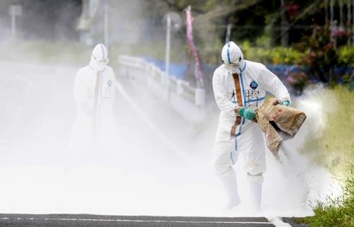 지난 9월 14일 콜레라 감염 돼지가 확인된 나가노현 시오지리시(市)의 축산시험장 주변에서 석회를 이용한 방역 작업이 펼쳐지고 있다. [교도=연합뉴스 자료사진]