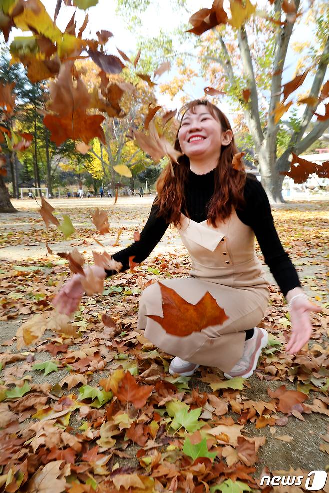 13일 경북 영천시 임고초등학교에서 이 학교 베트남 원어민 교사 챙(24·여)씨가 낙엽을 던지며 이국에서의 추억을 만들고 있다. 이 학교에는 100년된 40m높이의 플라타너스 숲이 조성돼 2003년 '아름다운 학교 숲' 대상에 선정됐다 . 2019.11.13/뉴스1 © News1 정우용 기자