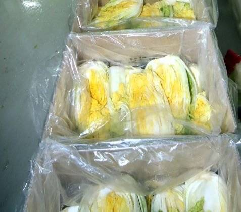 식품 공장에서 포장 중인 절임 배추들. 최근에는 간편하게 절임 배추를 사는 가정이 늘고 있다. [중앙포토]