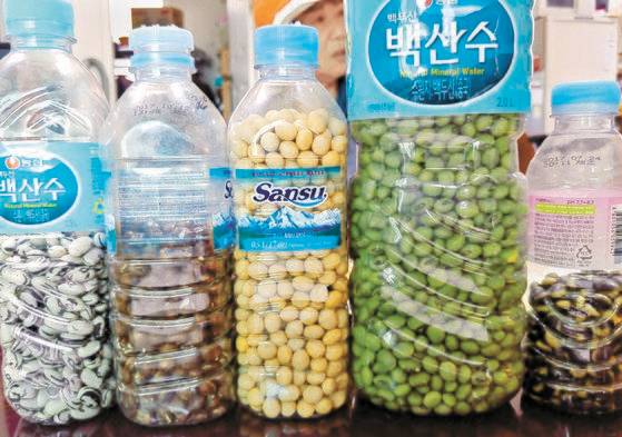 왼쪽부터 넝쿨강낭콩·아주까리밤 콩·홀아비밤콩·청태·선비잡이콩. 사진기 앞에서 꽤 부끄러워하는 유영희씨를 뒤에 살짝 걸쳤다. 남편 이현재씨는 무슨 눈치를 챘는지 어느 순간 슬며시 사라졌다. 부부 사진 찰칵 작전은 실패.