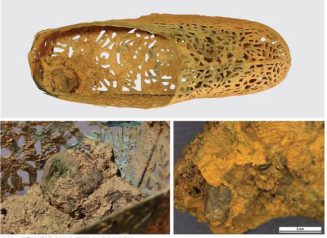 영산강유역을 다스린 40대 여성 지도자 무덤에서 출토된 금동신발(위). 신발 안에는 사람의 발뼈(사진 아래의 왼쪽)와  파리 번데기 껍질(오른쪽)이 보였다.