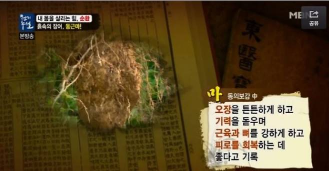 둥근마. /사진=MBN 방송캡처