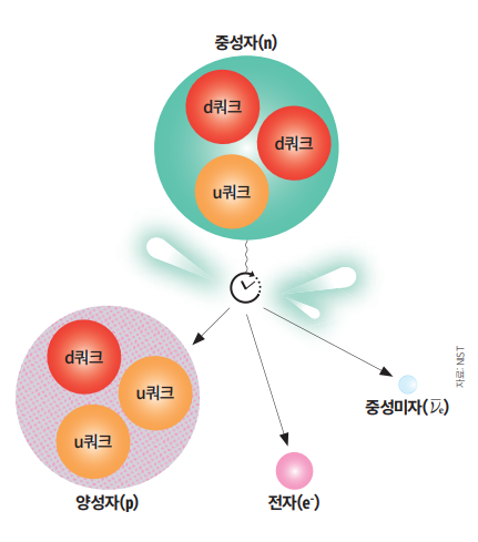 소립자의 일종인 u쿼크 1개와 d쿼크 2개로 이뤄진 중성자(n)는 일정 시간이 지나면 붕괴되기 시작한다. 중성자 내부에 있는 d쿼크 하나가 u쿼크로 바뀌면서 양성자 (p)가 되며, 전자(e-)와 중성미자 782keV(킬로전자볼트)의 빛 에너지가 생성된다. 과학동아DB (자료 NST)