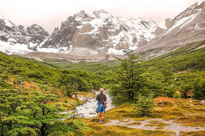 파타고니아의 여름. 사진 노동효 제공